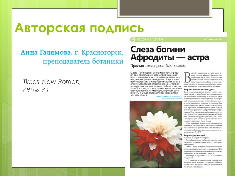 Авторская подпись Times New Roman, кегль 9 п